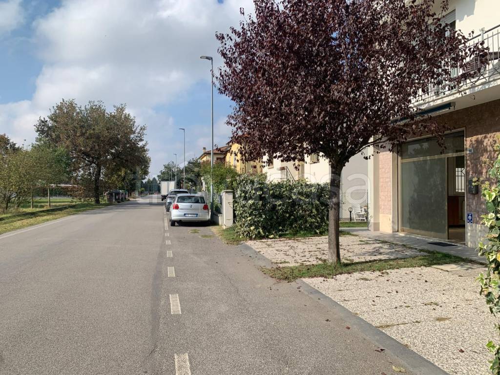 immagine annuncio 9 di 14