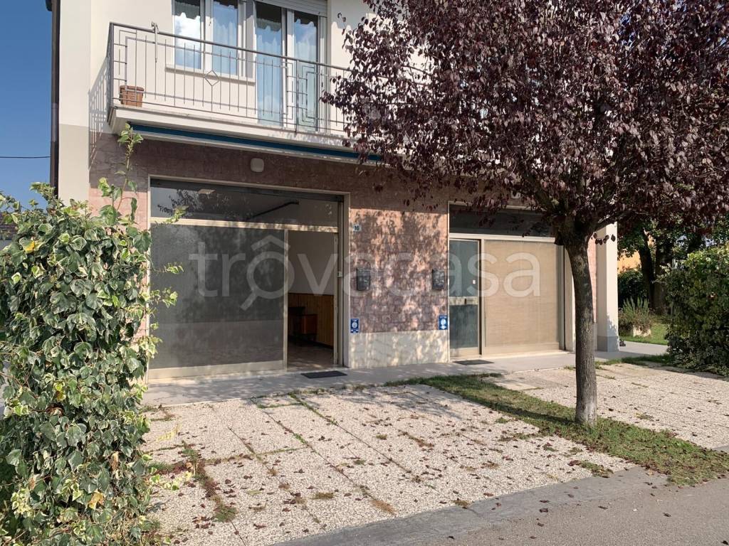 immagine annuncio 8 di 14