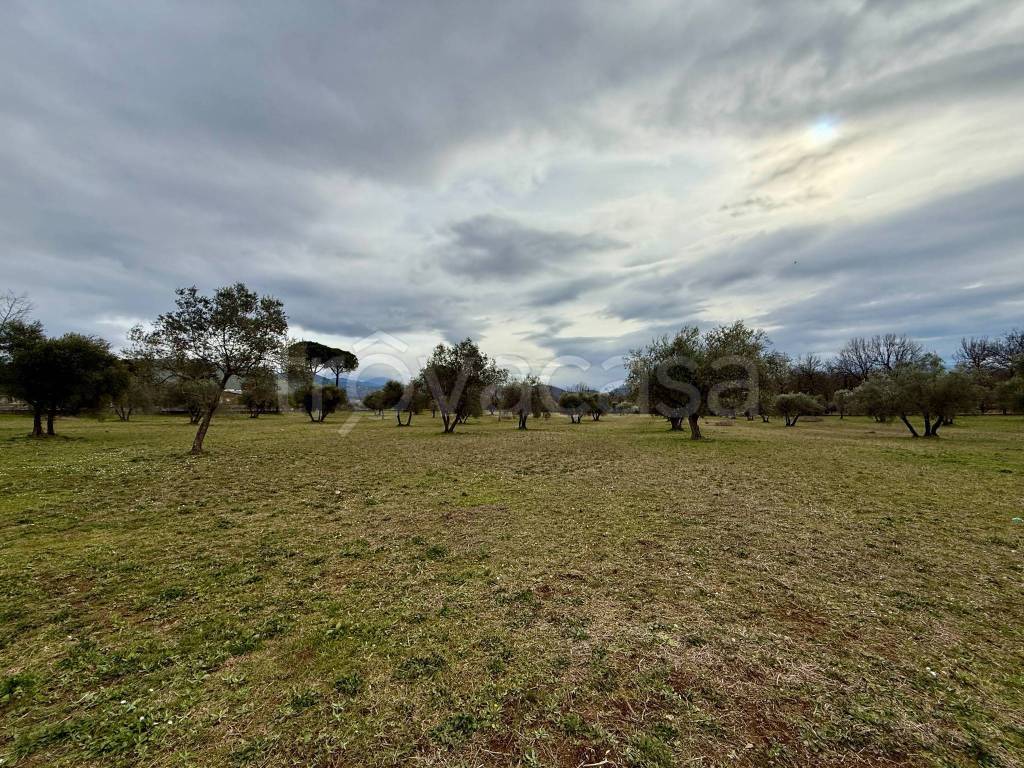 immagine annuncio 1 di 8