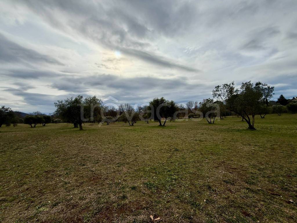 immagine annuncio 2 di 8