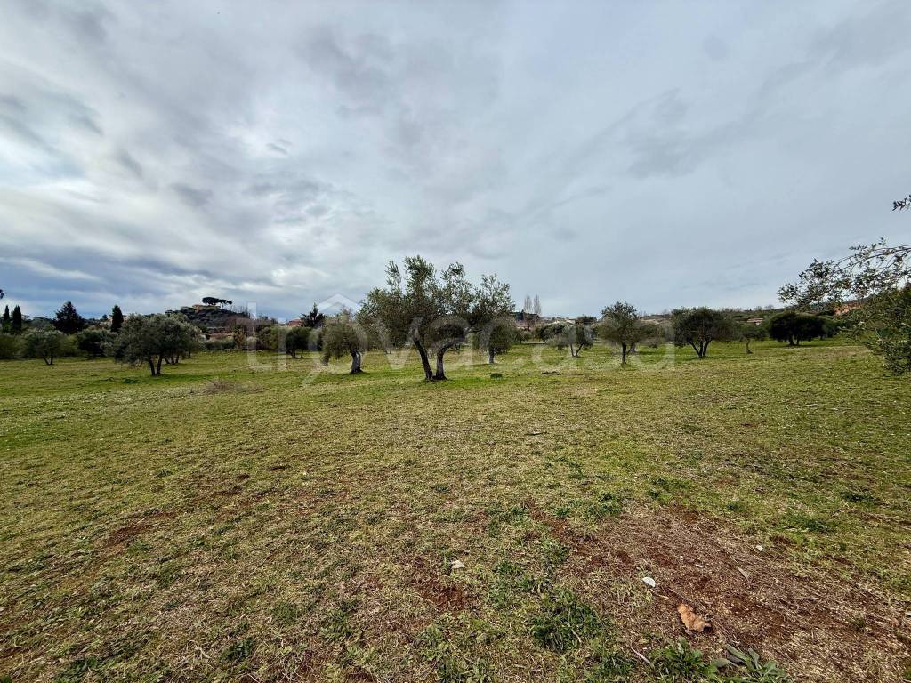 immagine annuncio 3 di 8