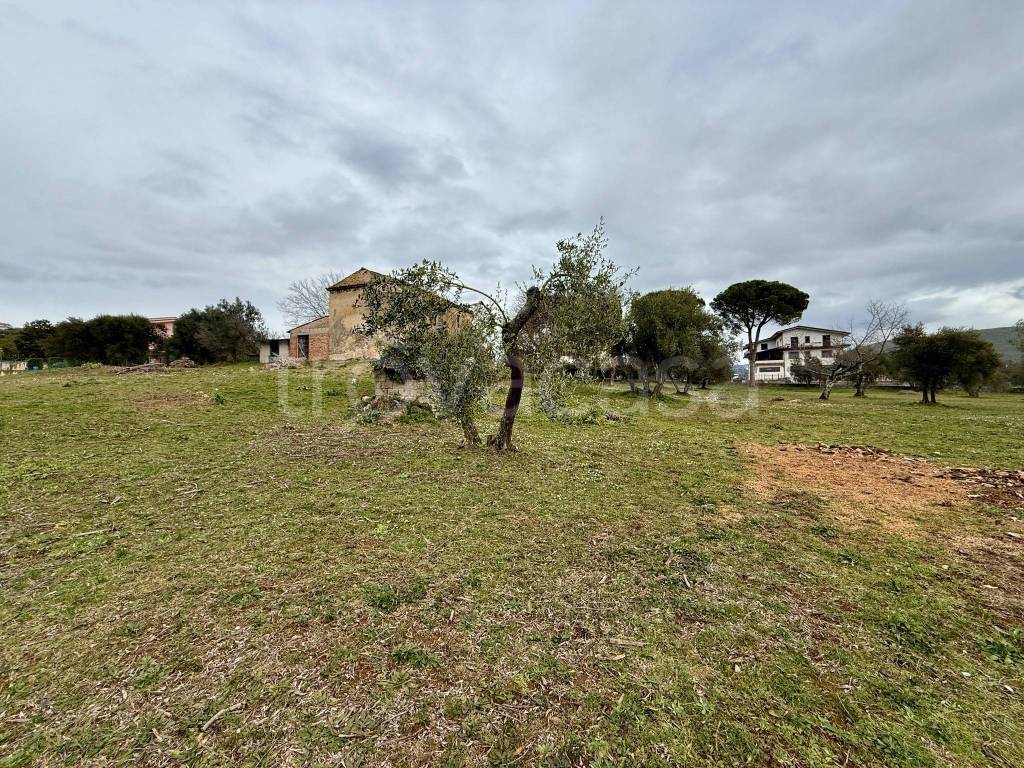 immagine annuncio 4 di 8