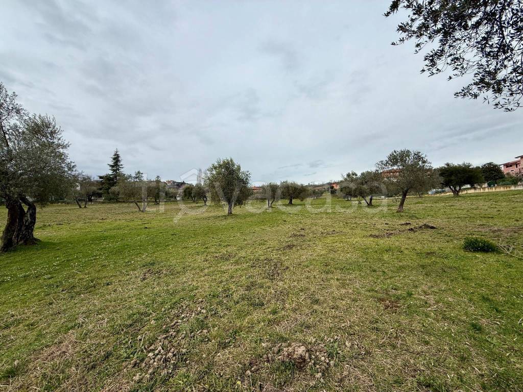 immagine annuncio 5 di 8