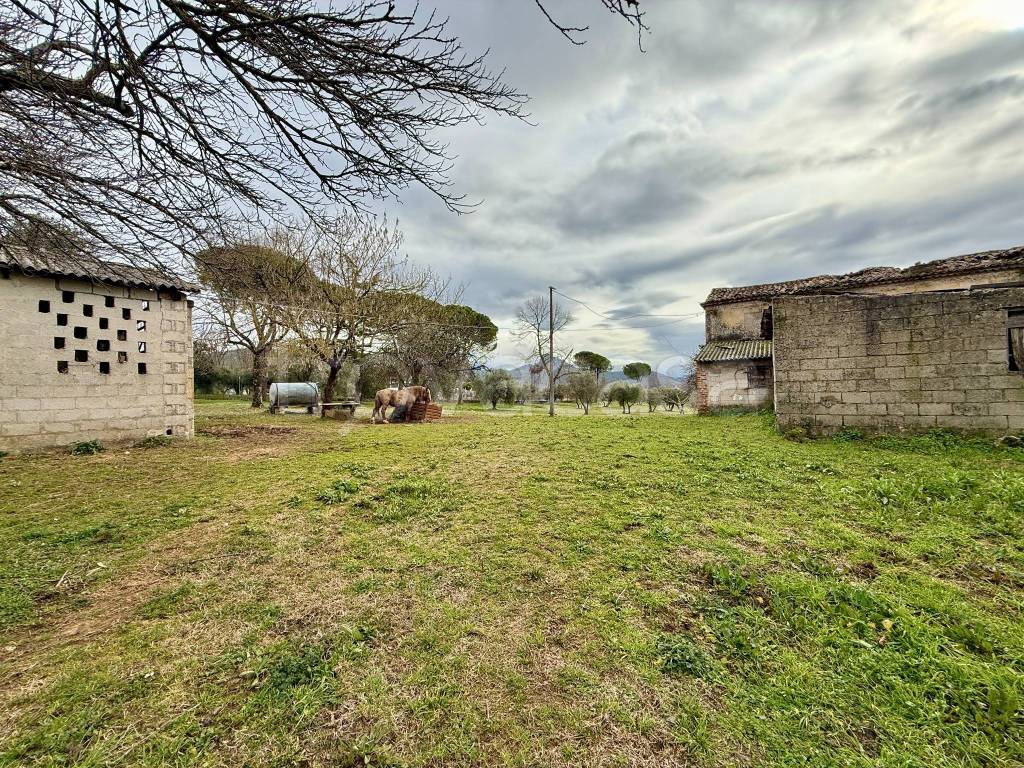 immagine annuncio 6 di 8