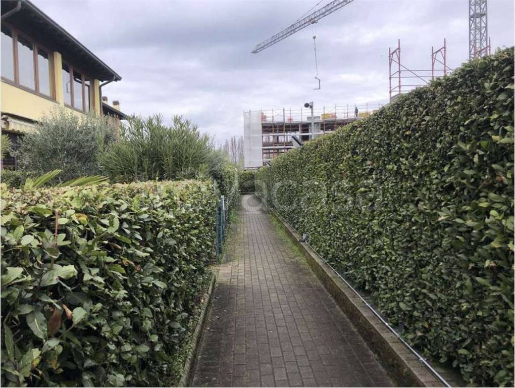 immagine annuncio 2 di 15