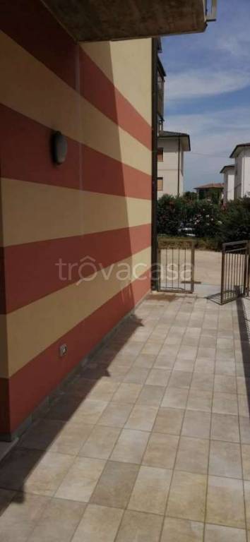 immagine annuncio 4 di 8