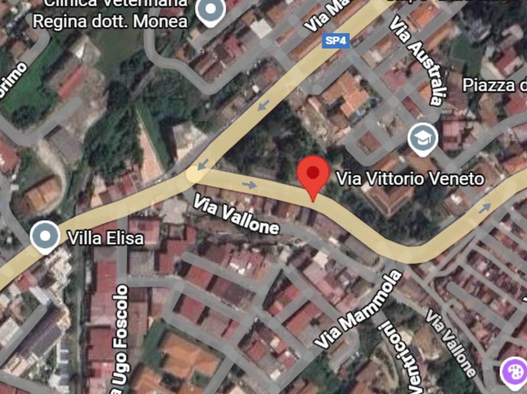 immagine annuncio 6 di 11