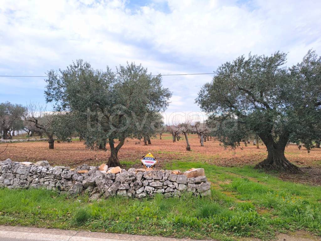 immagine annuncio 1 di 6