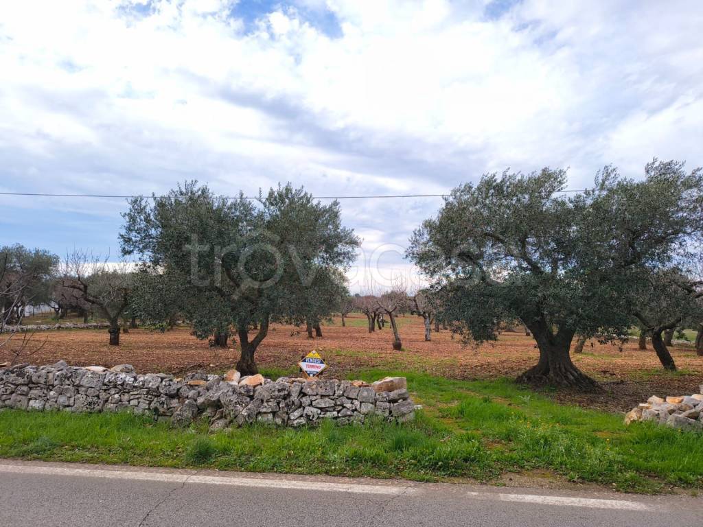 immagine annuncio 2 di 6