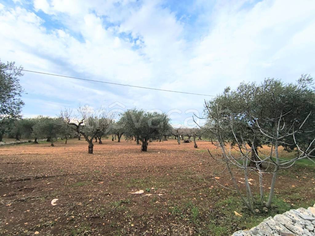 immagine annuncio 4 di 6