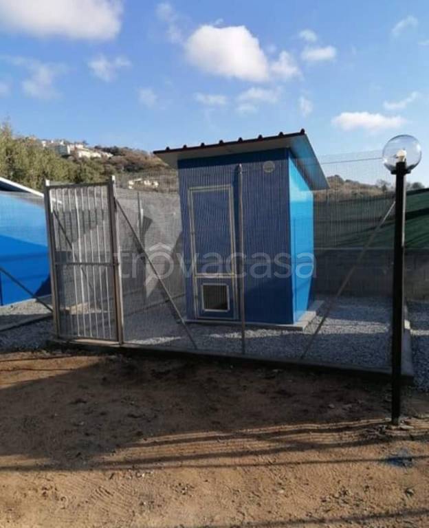 immagine annuncio 1 di 9