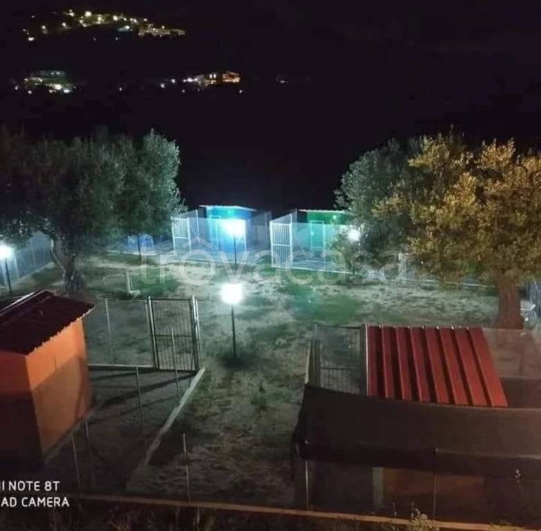 immagine annuncio 3 di 9