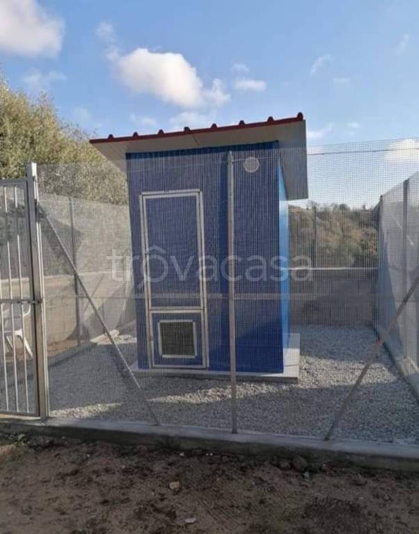 immagine annuncio 4 di 9