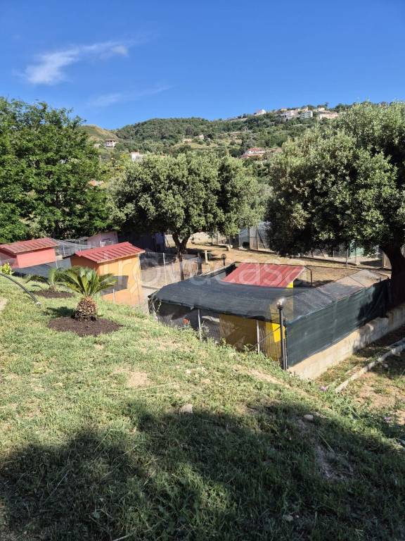 immagine annuncio 6 di 9