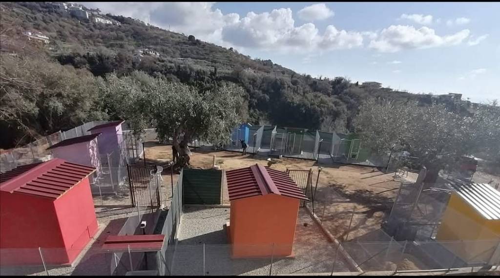 immagine annuncio 7 di 9