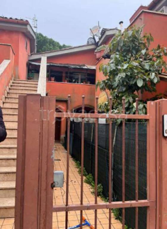 immagine annuncio 5 di 12