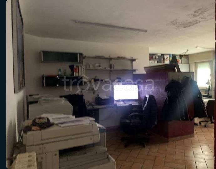 immagine annuncio 4 di 9