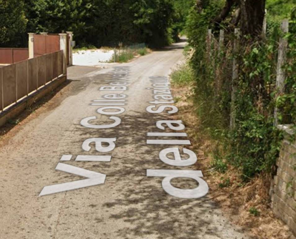 immagine annuncio 9 di 14