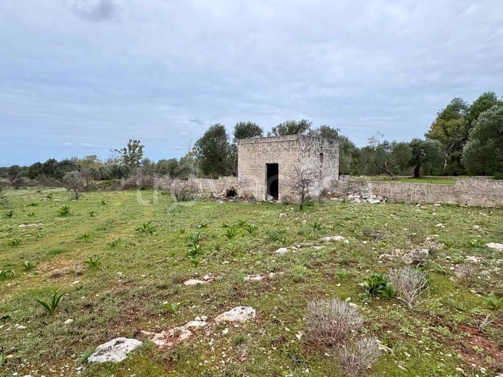 immagine annuncio 2 di 4