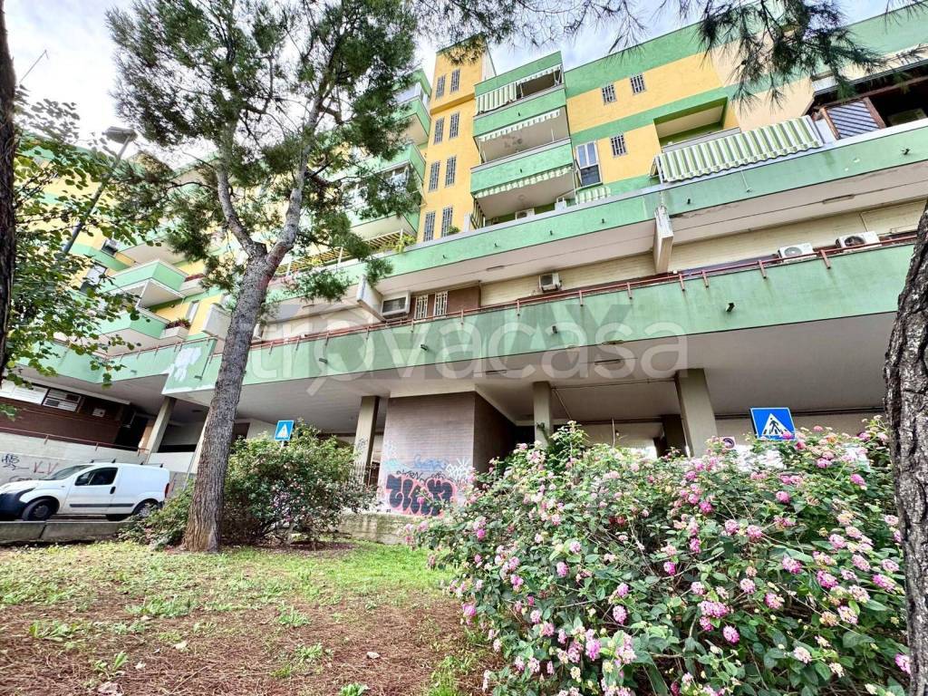 immagine annuncio 1 di 14