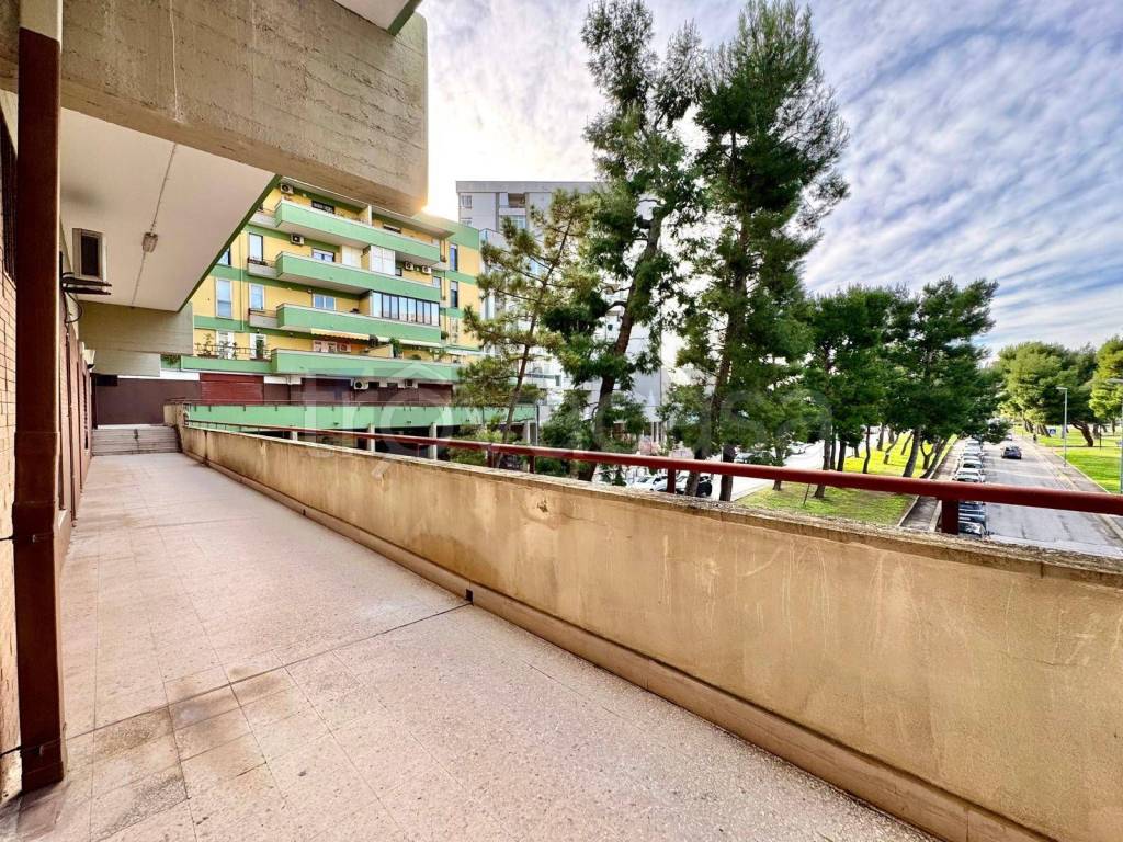 immagine annuncio 10 di 14