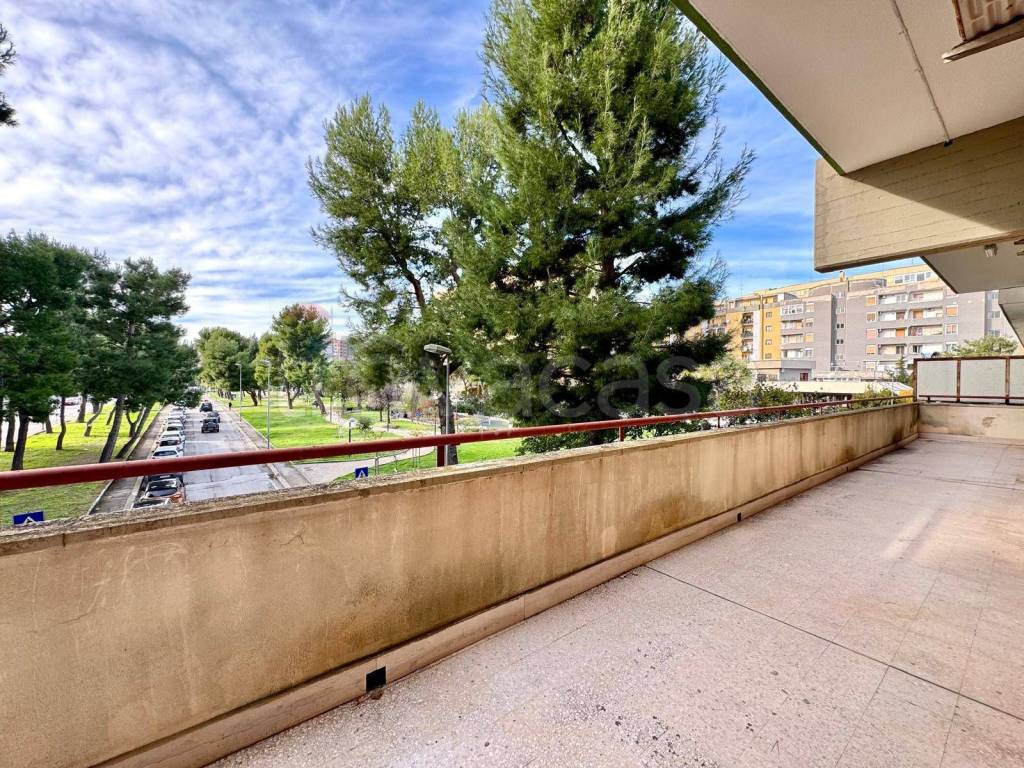 immagine annuncio 11 di 14