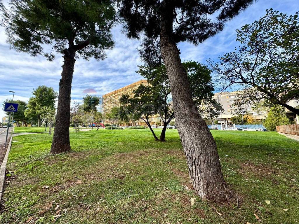 immagine annuncio 12 di 14