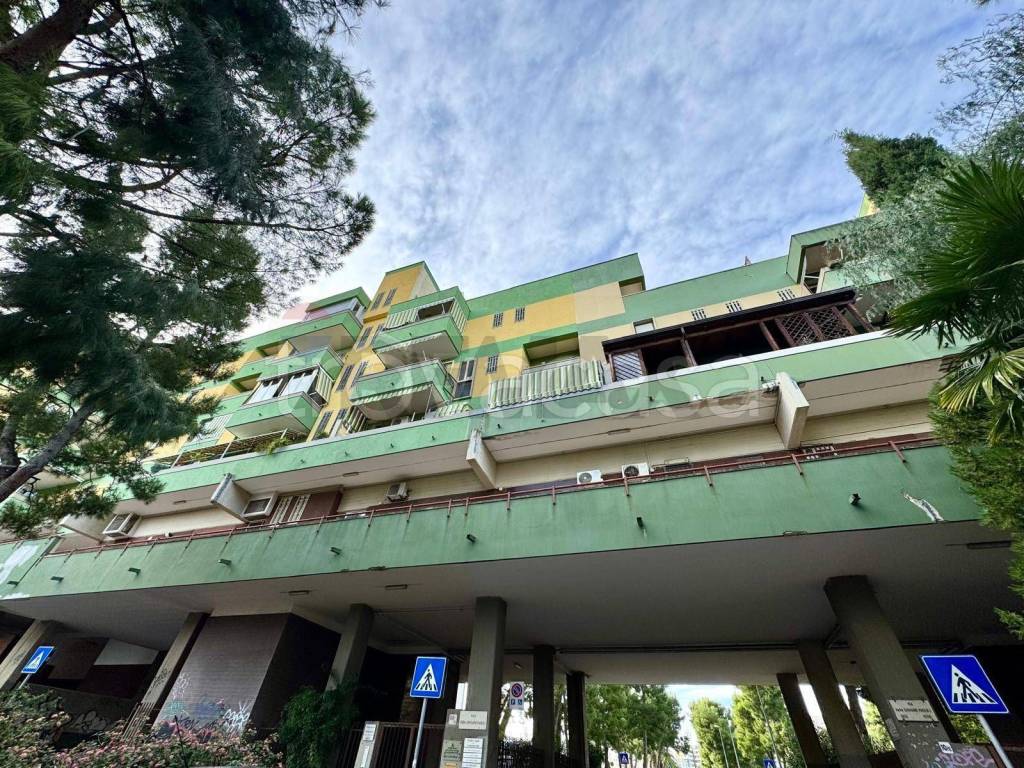 immagine annuncio 13 di 14