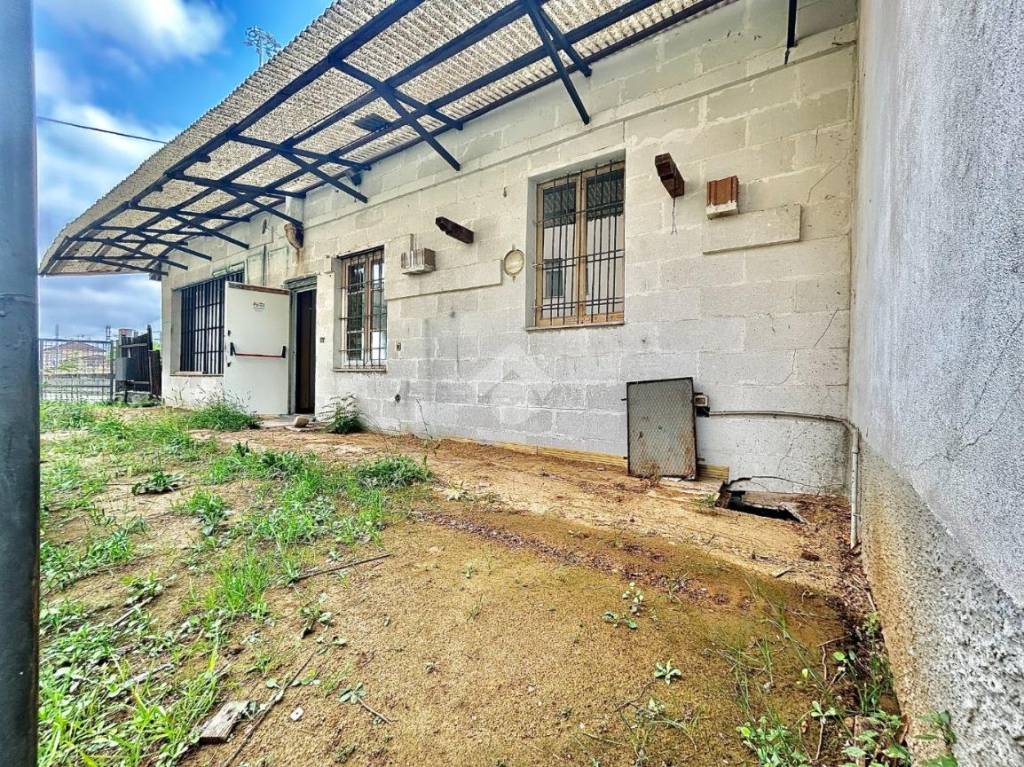 immagine annuncio 6 di 15