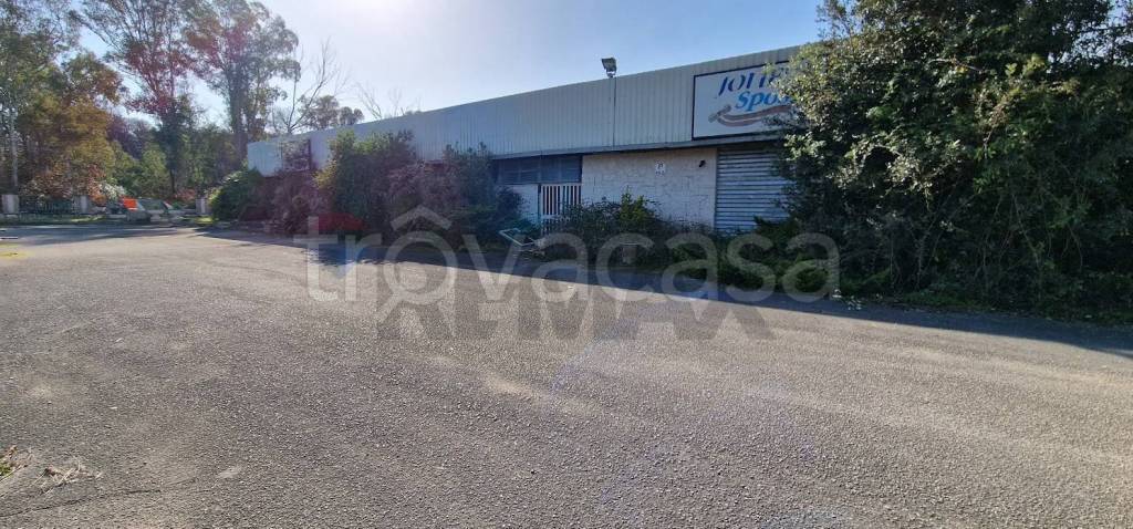 immagine annuncio 2 di 11