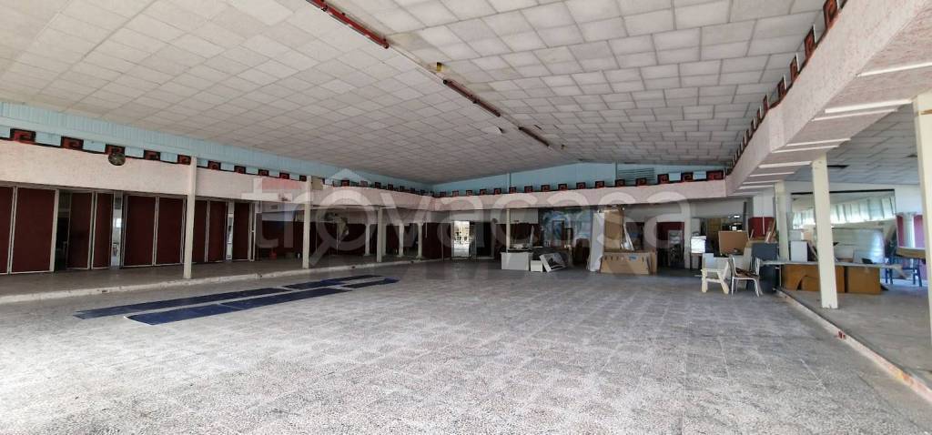 immagine annuncio 10 di 11