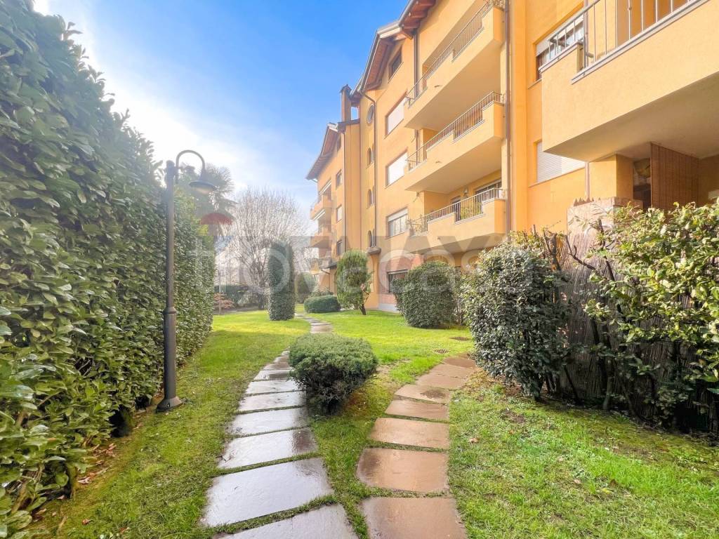 immagine annuncio 3 di 15