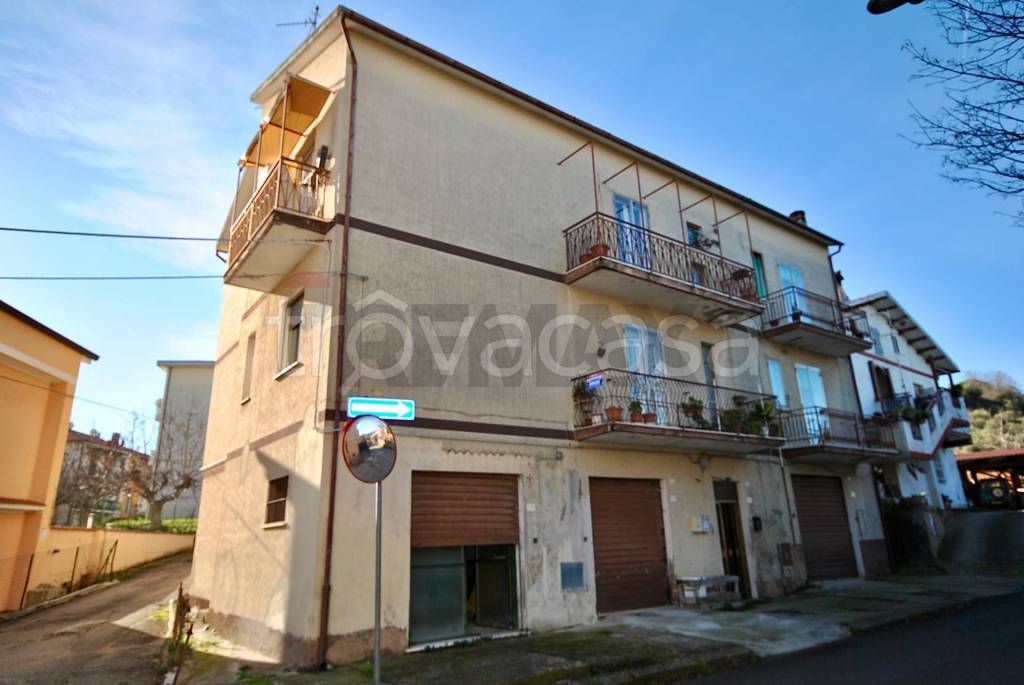 immagine annuncio 5 di 6