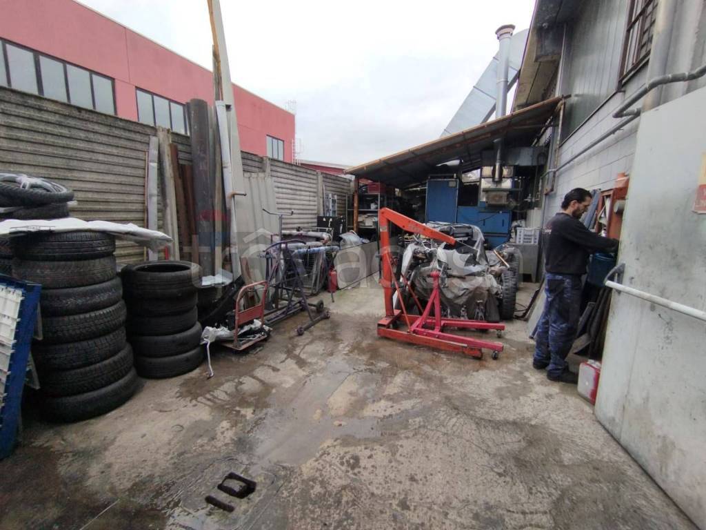 immagine annuncio 9 di 15