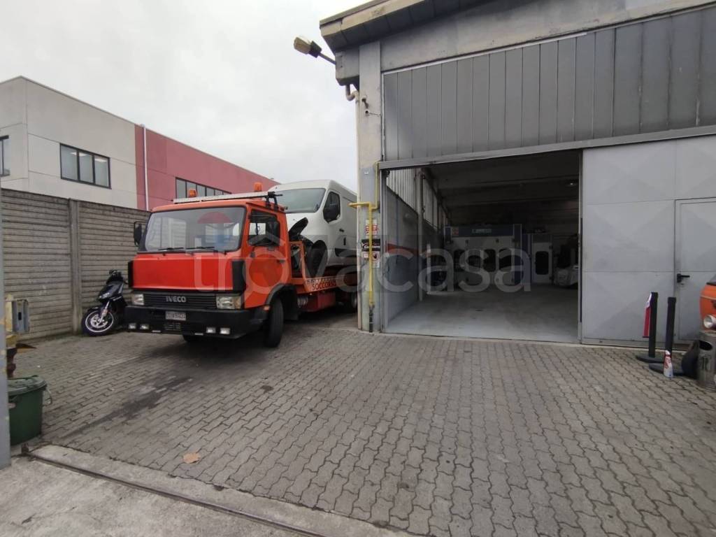 immagine annuncio 12 di 15