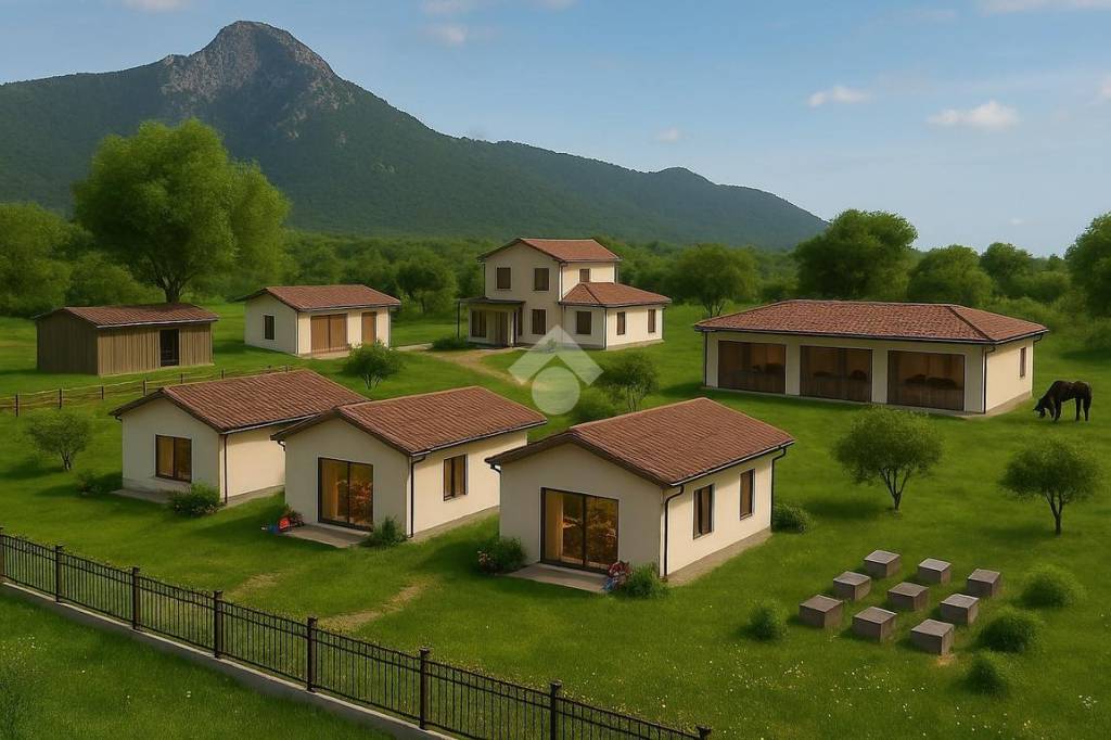 immagine annuncio 12 di 15