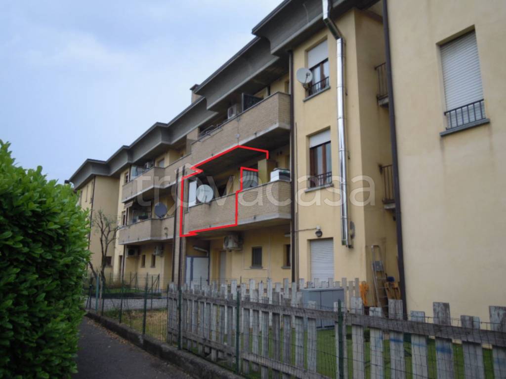 immagine annuncio 1 di 12