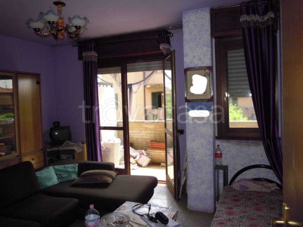 immagine annuncio 2 di 12