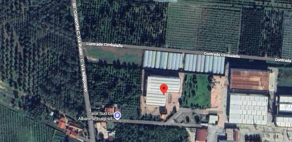 immagine annuncio 6 di 10