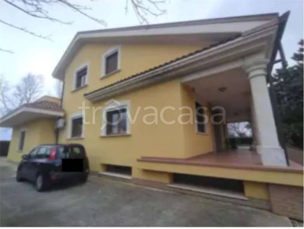 immagine annuncio 12 di 13