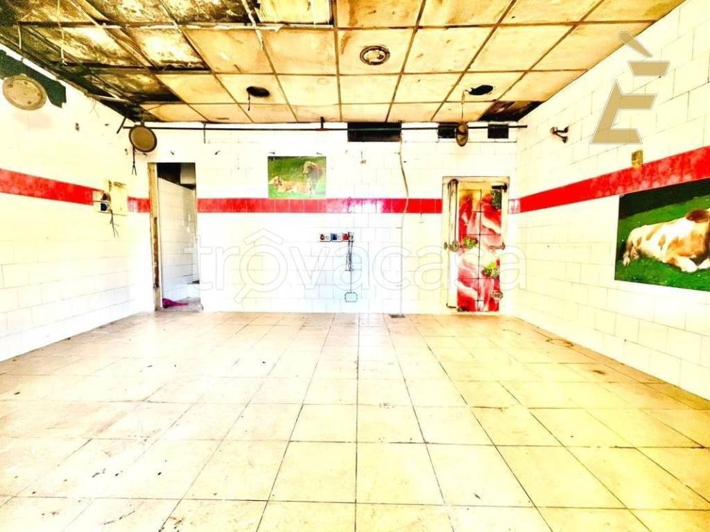 immagine annuncio 6 di 11