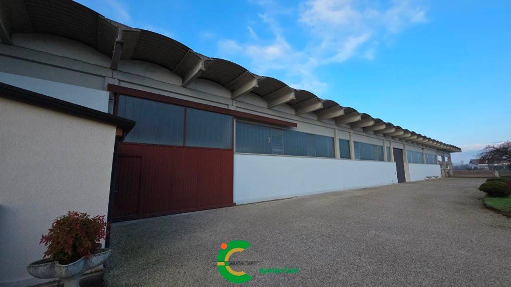 immagine annuncio 1 di 8