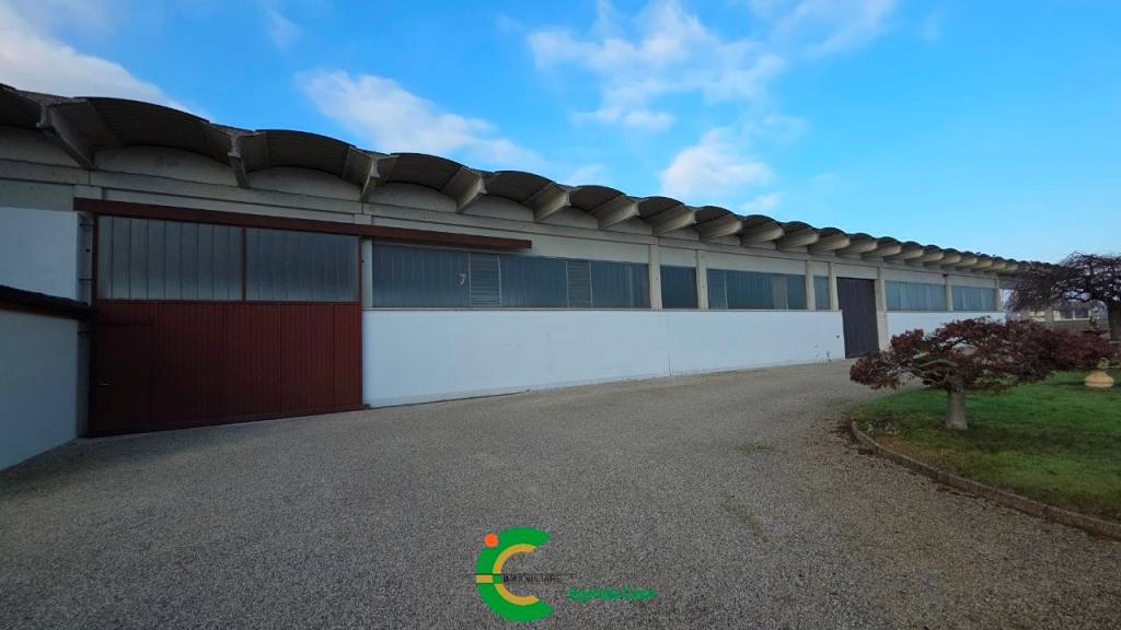 immagine annuncio 2 di 8