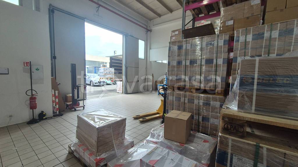 immagine annuncio 7 di 15