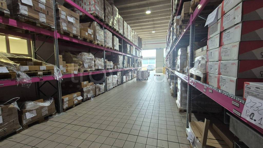 immagine annuncio 9 di 15