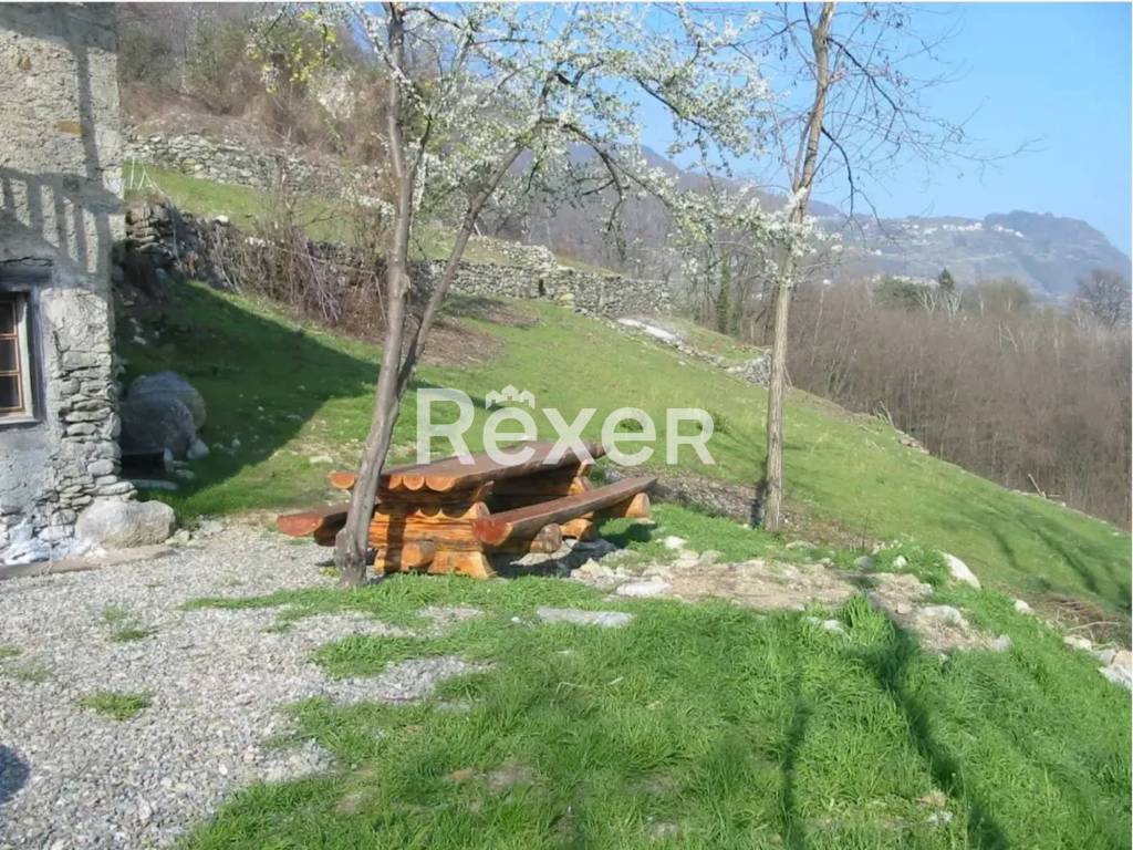 immagine annuncio 2 di 7