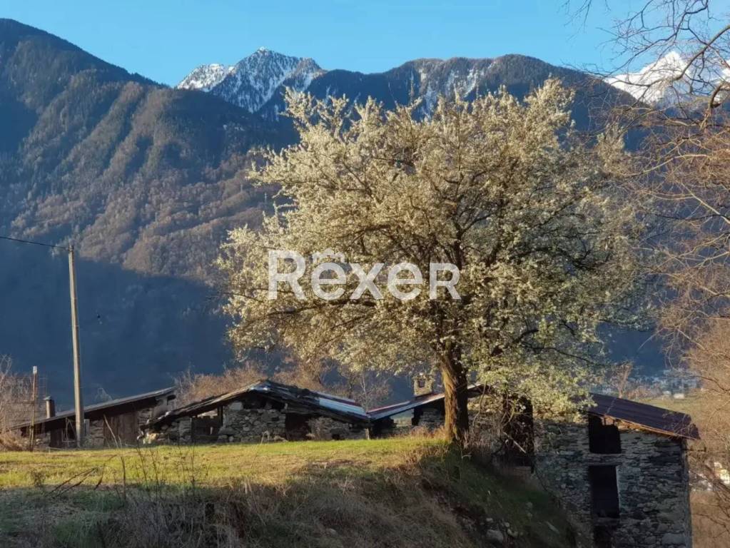 immagine annuncio 3 di 7