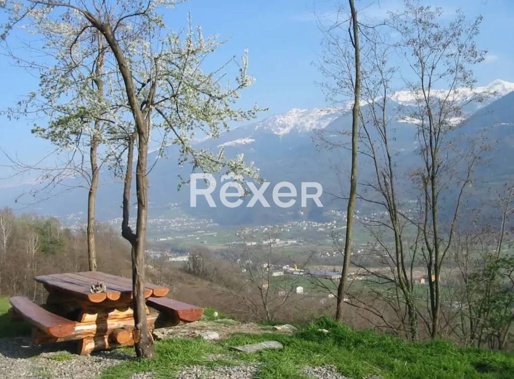 immagine annuncio 5 di 7