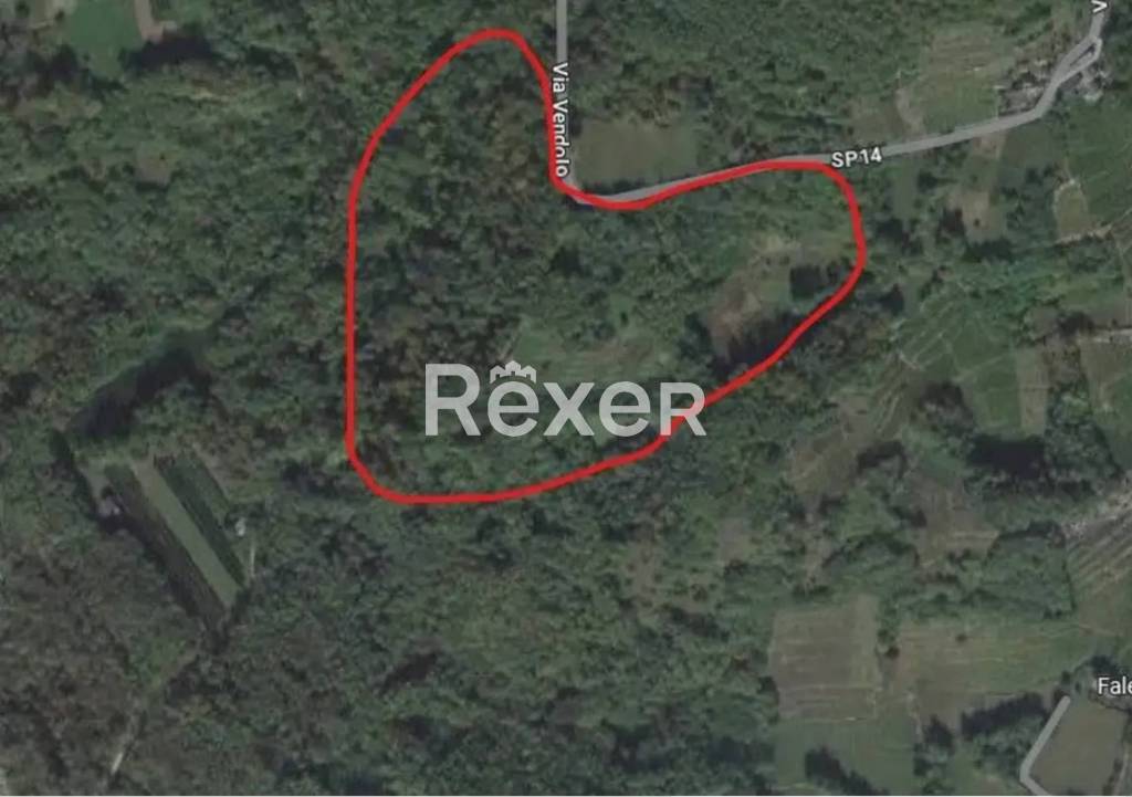 immagine annuncio 6 di 7