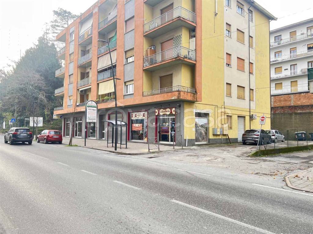 immagine annuncio 5 di 9